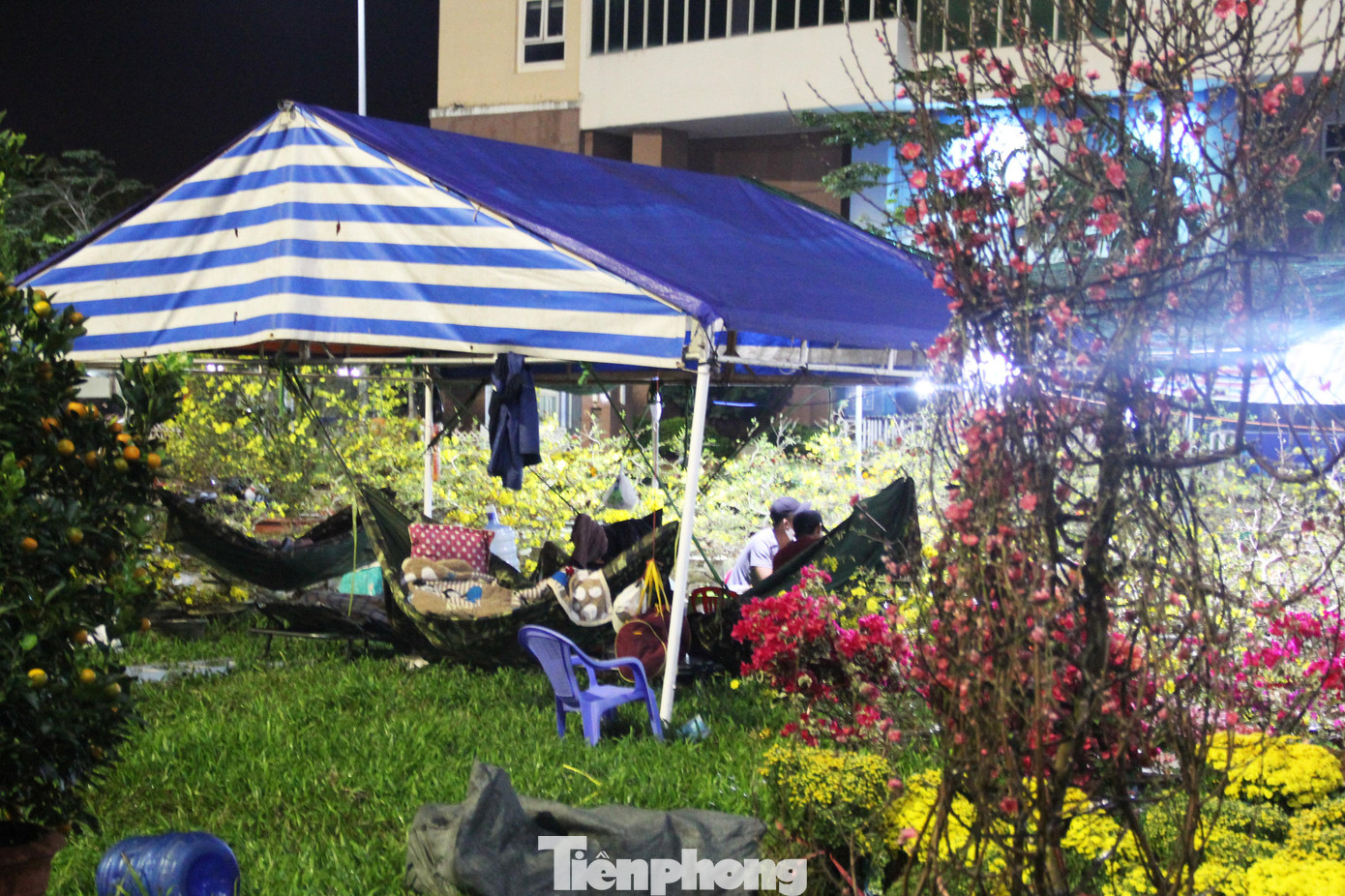 Những chiếc lán tạm bợ giúp hàng chục thương lái ở chợ hoa Tết vượt qua những đêm trắng "canh" hoa Những chiếc lán tạm bợ giúp hàng chục thương lái ở chợ hoa Tết vượt qua những đêm trắng "canh" hoa