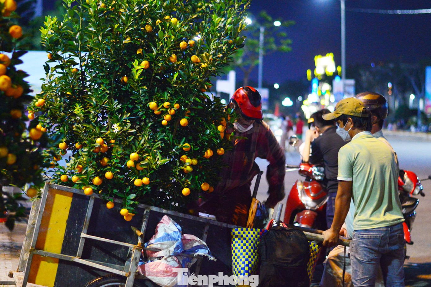 Anh Lê Thông (áo xanh) phấn khởi vì "chốt" được cho khách một chậu quất giữa đêm muộn Anh Lê Thông (áo xanh) phấn khởi vì "chốt" được cho khách một chậu quất giữa đêm muộn