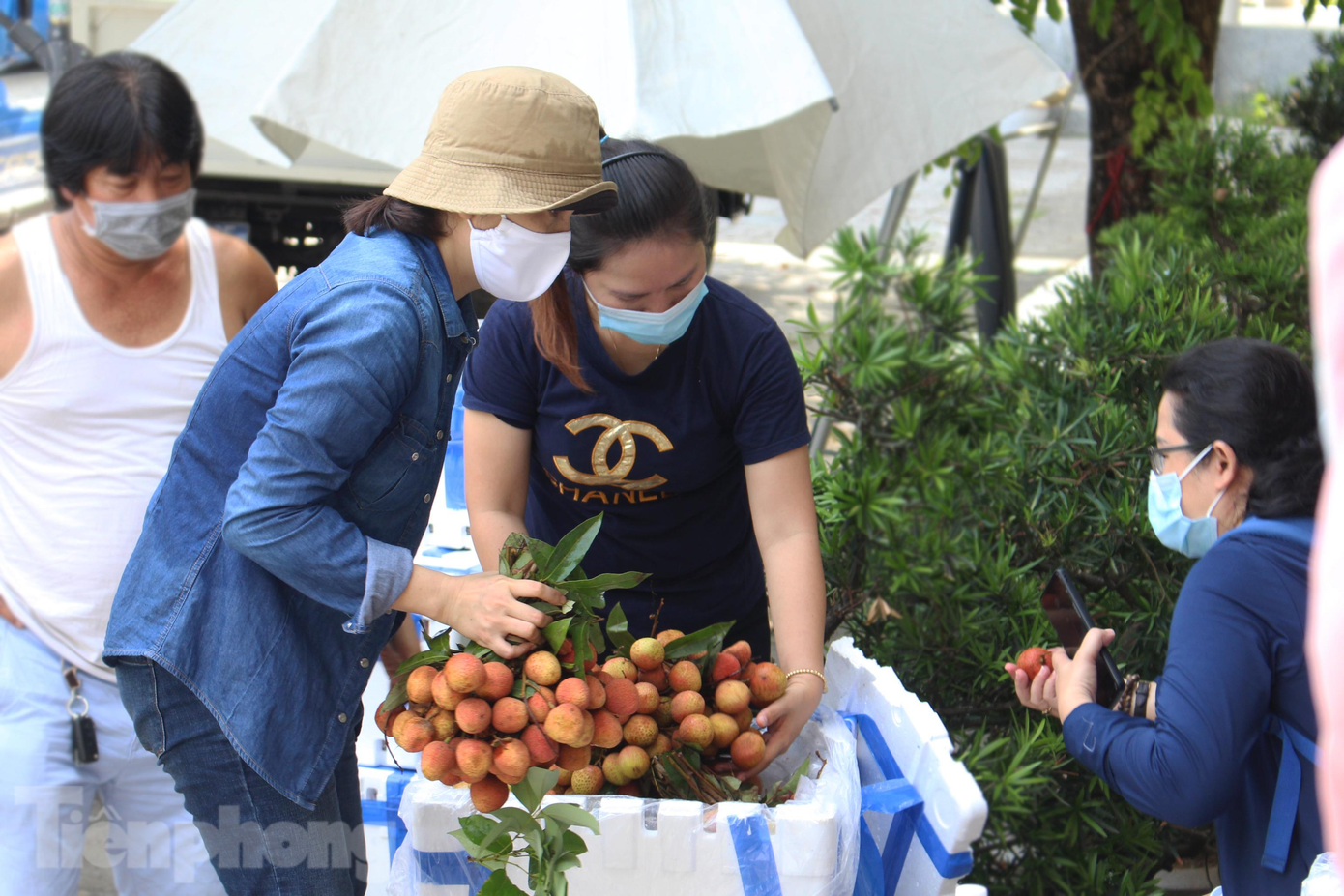 Trong thời gian tới, Hội Doanh nhân trẻ TP Đà Nẵng sẽ phối hợp với Thành Đoàn, Cục Quản lý thị trường để tiếp tục hỗ trợ nông dân Bắc Giang tiêu thụ thêm khoảng 60 tấn vải thiều.
