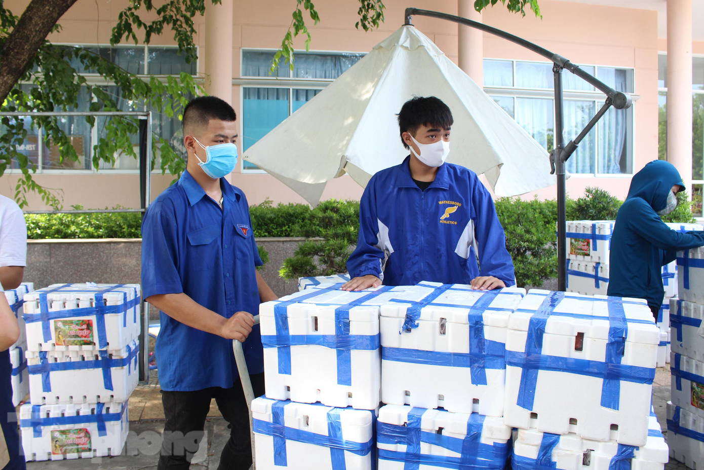 Hai ngày qua, nhiều bạn trẻ biết thông tin về chương trình hỗ trợ tiêu thụ vải thiều Bắc Giang cũng tình nguyện đến giúp sức. Từng là TNV trong chương trình ATM gạo của Hội Doanh nhân trẻ triển khai trong đợt dịch trước, Trần Hoàng Gia Bảo (học sinh lớp 11, trường THPT Tôn Thất Tùng) nhiệt tình đăng kí tham gia hỗ trợ bán vải từ những ngày đầu. "Em nghĩ với số lượng vải lớn như vậy, chương trình sẽ cần sự giúp sức nên em đăng kí tham gia ngay", Bảo chia sẻ.