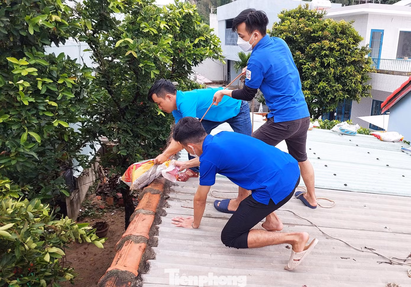 Lực lượng tình nguyện viên chú trọng hỗ trợ các hộ có hoàn cảnh khó khăn, nhà cửa không kiên cố; các hộ neo đơn chỉ có trẻ con và người già; hộ gia đình có người khuyết tật... Dùng bao cát hoặc những thùng nước đầy lên mái tôn là cách mà người dân Đà Nẵng thường xuyên áp dụng mỗi khi có bão. Lực lượng tình nguyện viên chú trọng hỗ trợ các hộ có hoàn cảnh khó khăn, nhà cửa không kiên cố; các hộ neo đơn chỉ có trẻ con và người già; hộ gia đình có người khuyết tật... Dùng bao cát hoặc những thùng nước đầy lên mái tôn là cách mà người dân Đà Nẵng thường xuyên áp dụng mỗi khi có bão.