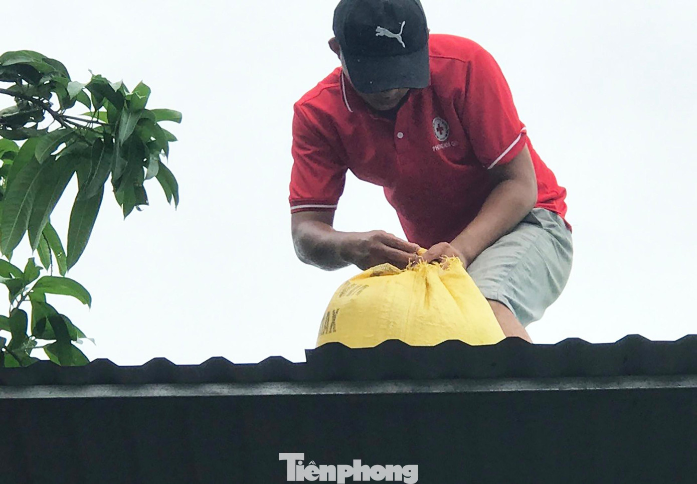 Từ ngày hôm qua, hàng loạt hoạt động đã được triển khai để hỗ trợ người dân ứng phó với bão Noru, tập trung vào các đối tượng khó khăn, neo đơn, người già, người thuê trọ… Mọi việc sẽ hoàn thành trước 18h hôm nay (27/9). “Chúng tôi đã chuẩn bị sẵn khoảng 1.000 suất quà hỗ trợ khẩn cấp, ưu tiên là nhu yếu phẩm để phục vụ ăn uống và nước sạch trong điều kiện bão đổ bộ và gây thiệt hại cho thành phố”, bà Hồng cho hay.