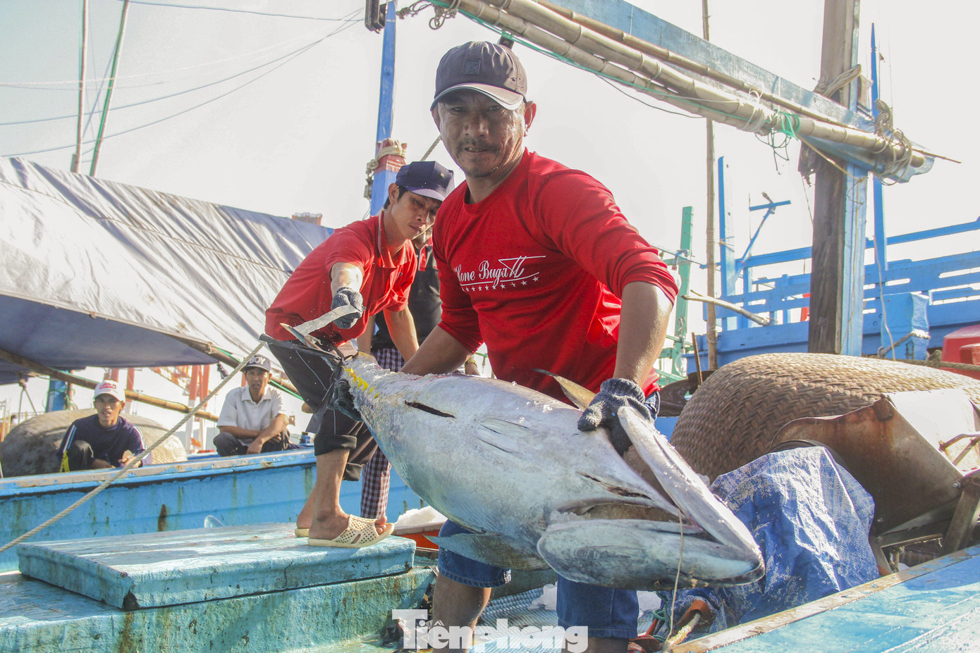 Thời gian qua, Việt Nam có nhiều nỗ lực để chống khai thác IUU và "gỡ " thẻ vàng EC về khai thác thủy sản Thời gian qua, Việt Nam có nhiều nỗ lực để chống khai thác IUU và "gỡ " thẻ vàng EC về khai thác thủy sản
