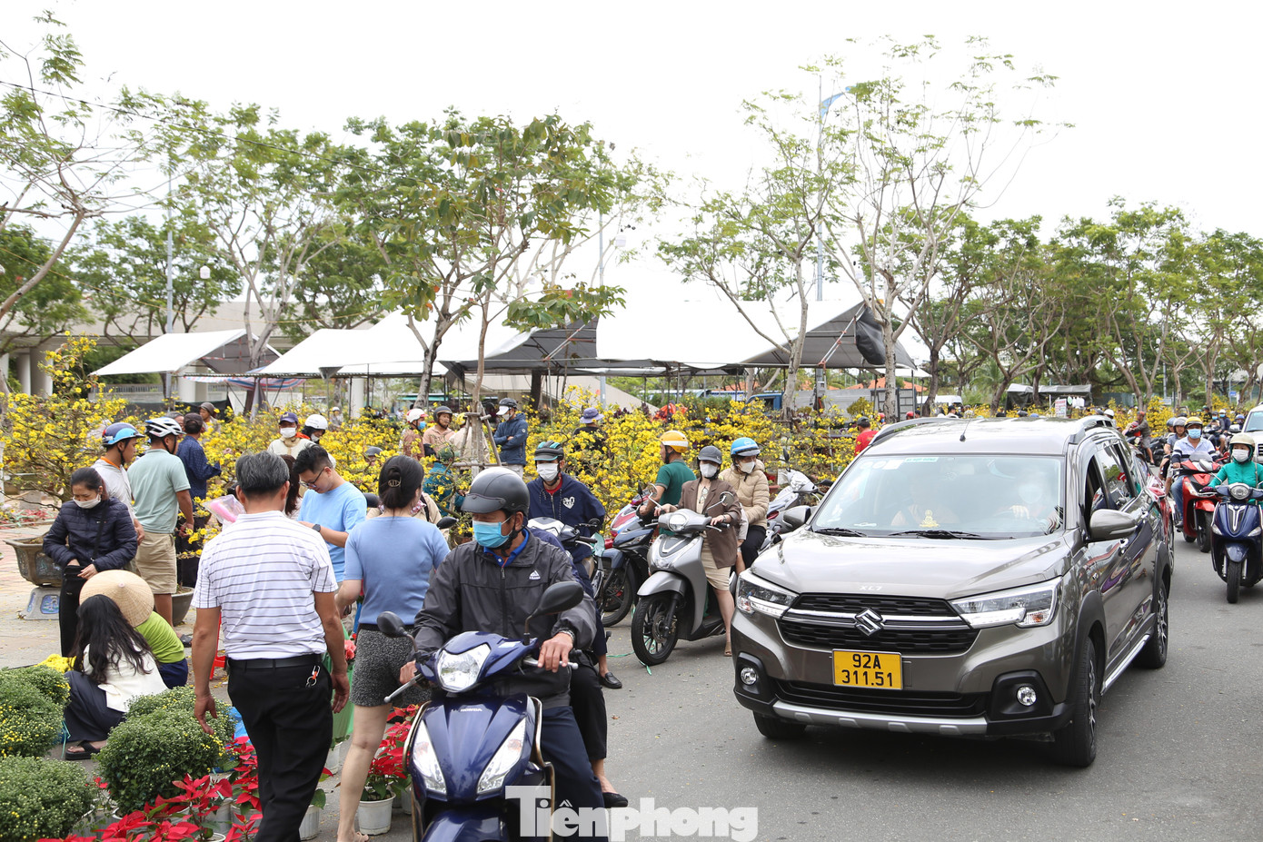 Năm nay, thị trường mai Tết ế ẩm, nhiều nhà vườn từ Bình Định, Gia Lai... không bán được một nửa. Ngày cuối năm, những cây mai thế vốn được rao với giá vài triệu đồng đều được "sale sập sàn" với mức 500.000 đồng, 700.000 đồng...
