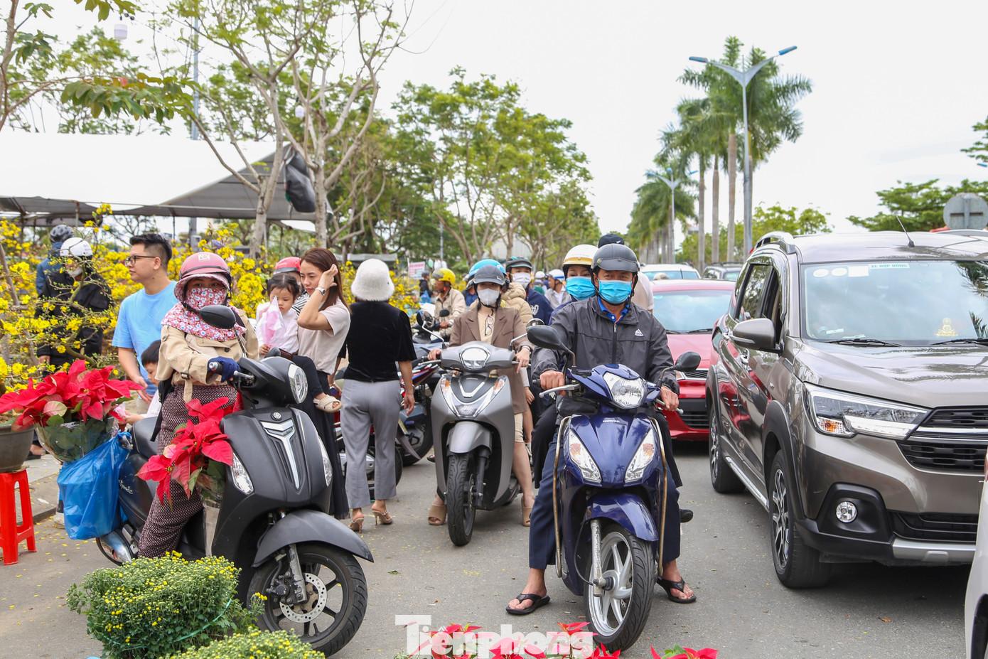 Ghi nhận ngày 30 Tết, chợ hoa Tết Đà Nẵng đông đúc, tấp nập kẻ bán người mua. Các tiểu thương đồng loạt "xả hàng", treo bảng đại hạ giá. Những cuộc mua bán diễn ra chóng vánh, không mặc cả. Ảnh: Giang Thanh.