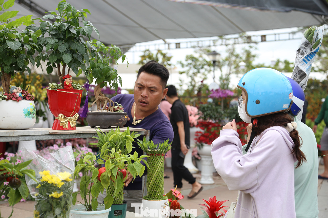 Các loại hoa trang trí như lan hồ điệp, mâm xôi, xác pháo, trạng nguyên... cũng được tiểu thương xả hàng đồng giá, như: mâm xôi 200.000 đồng/cặp, trạng nguyên 50.000 đồng/chậu...