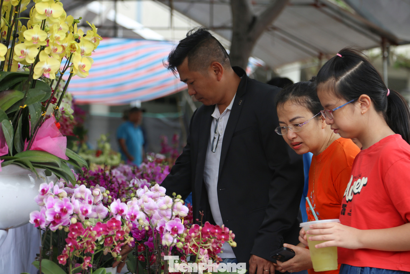 Các loại hoa trang trí như lan hồ điệp, mâm xôi, xác pháo, trạng nguyên... cũng được tiểu thương xả hàng đồng giá, như: mâm xôi 200.000 đồng/cặp, trạng nguyên 50.000 đồng/chậu...