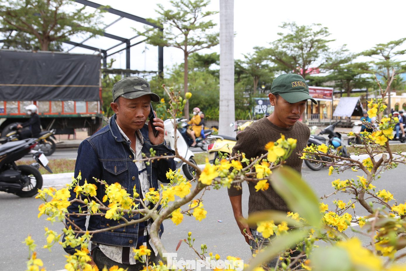 Để vớt vát, anh Tuấn dự định sẽ bán đến lúc chợ hoa Tết đóng cửa (khoảng 21h) để kiếm thêm chút chi phí, đỡ đần cho chuyến xe chở mai về lại Bình Định gần chục triệu đồng. "Năm nay, sức mua giảm khủng khiếp, người trồng mai như chúng tôi điêu đứng. Những gốc mai này, thương lái mua tại vườn ở Bình Định đã từ 800.000 đồng đến một triệu đồng. Nhưng giờ ế quá, phải chịu lỗ chứ biết làm sao", anh Tuấn thở dài.