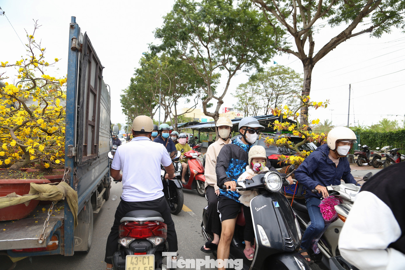 Năm nay, thị trường mai Tết ế ẩm, nhiều nhà vườn từ Bình Định, Gia Lai... không bán được một nửa. Ngày cuối năm, những cây mai thế vốn được rao với giá vài triệu đồng đều được "sale sập sàn" với mức 500.000 đồng, 700.000 đồng...