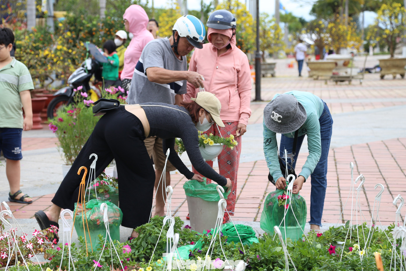 Các loại hoa trang trí như lan hồ điệp, mâm xôi, xác pháo, trạng nguyên... cũng được tiểu thương xả hàng đồng giá, như: mâm xôi 200.000 đồng/cặp, trạng nguyên 50.000 đồng/chậu...