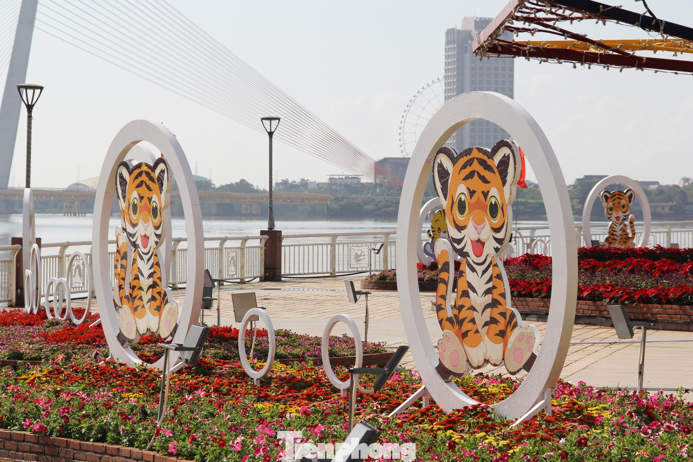 Ngoài ra, khu vực đường hoa cũng bố trí nhiều chú hổ con với tạo hình dễ thương, vui nhộn. Đây hứa hẹn sẽ là điểm "checkin" thu hút sự quan tâm của đông đảo các em nhỏ.