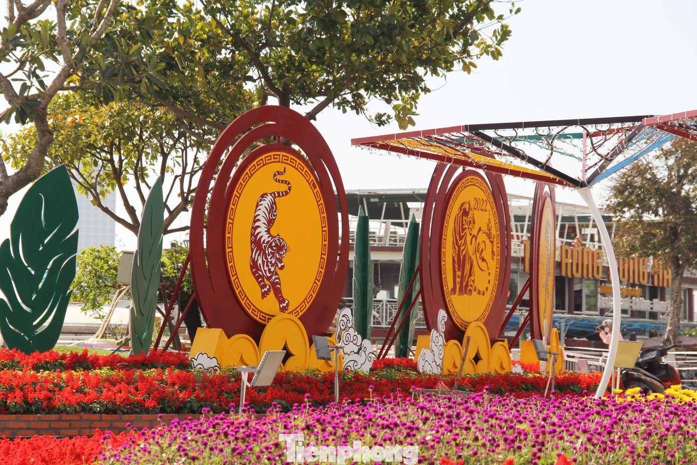 Năm nay, Đà Nẵng đầu tư hơn 8,6 tỷ đồng từ nguồn vốn ngân sách thành phố để trang trí hoa và điện chiếu sáng phục vụ Tết Nhâm Dần với 8 vị trí được trang trí sử dụng vốn ngân sách và 3 vị trí trang trí theo hình thức xã hội hóa.