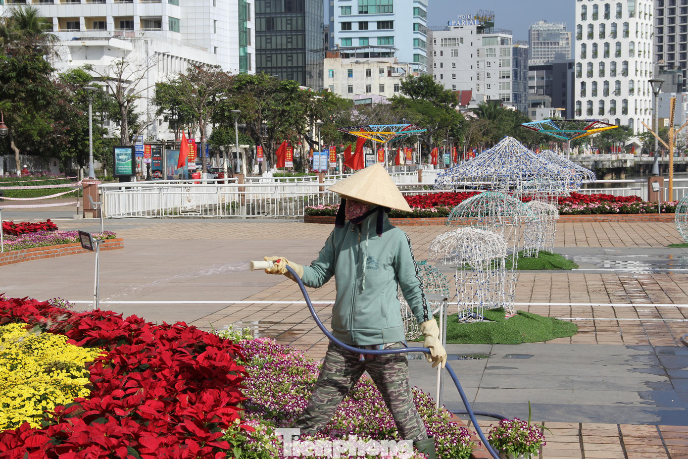 Đường hoa Đà Nẵng dự kiến sẽ mở cửa phục vụ người dân và du khách từ ngày 30/1 (nhằm ngày 28 tháng Chạp). Hiện, các công nhân đang hoàn tất những công đoạn cuối cùng để hoàn thiện đường hoa trước ngày khai mạc.