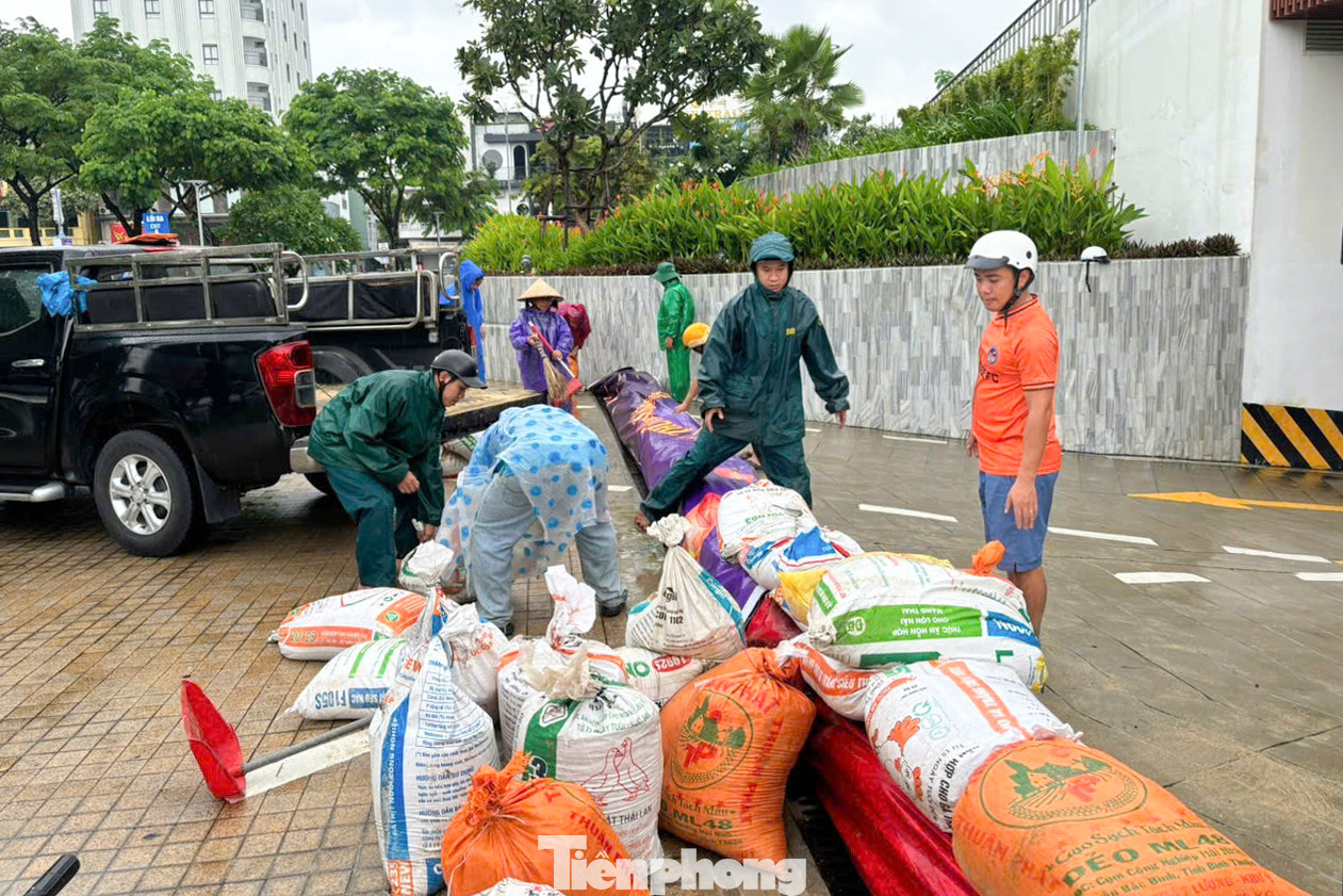 "Đây là đội hình được Thành Đoàn triển khai nhiều năm nay, luôn xung kích, tích cực trong công tác phòng chống thiên tai, hỗ trợ người dân di dời tài sản, gia cố nhà cửa, mái tôn, bảo vệ tài sản, khơi thông cống rãnh... Hiện, lực lượng tình nguyện viên vẫn túc trực 24/24, sẵn sàng thực hiện các nhiệm vụ được chính quyền địa phương phân công để hỗ trợ công tác ứng phó bão Trà Mi", anh Lê Công Hùng - Phó Bí thư phụ trách Thành Đoàn Đà Nẵng, nói.