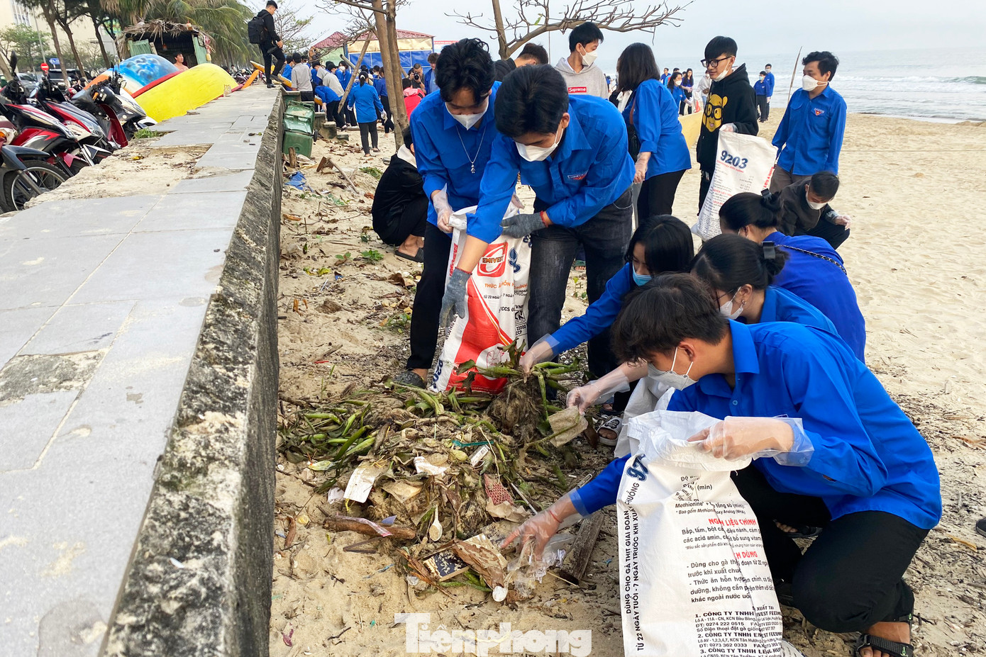 Hơn 500 đoàn viên, thanh niên, sinh viên cùng ra quân dọn vệ sinh bờ biển Đà Nẵng. Ảnh: Giang Thanh