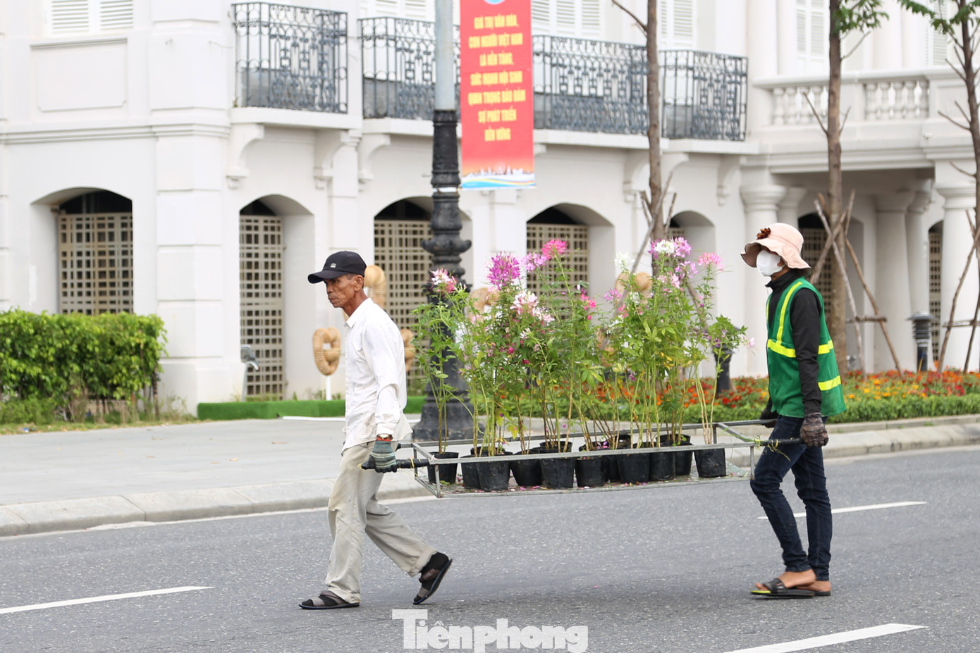 Dịp Tết Nguyên đán Giáp Thìn, UBND TP Đà Nẵng đầu tư gần 20 tỷ đồng trang trí hoa và điện chiếu sáng, trong đó có 15 vị trí trang trí hoa và 6 vị trí trang trí khác. Trong đó, nổi bật là cụm trang trí dọc sông Hàn, kéo dài từ đối diện Công viên APEC đến đối diện Trung tâm hành chính TP. Đà Nẵng.