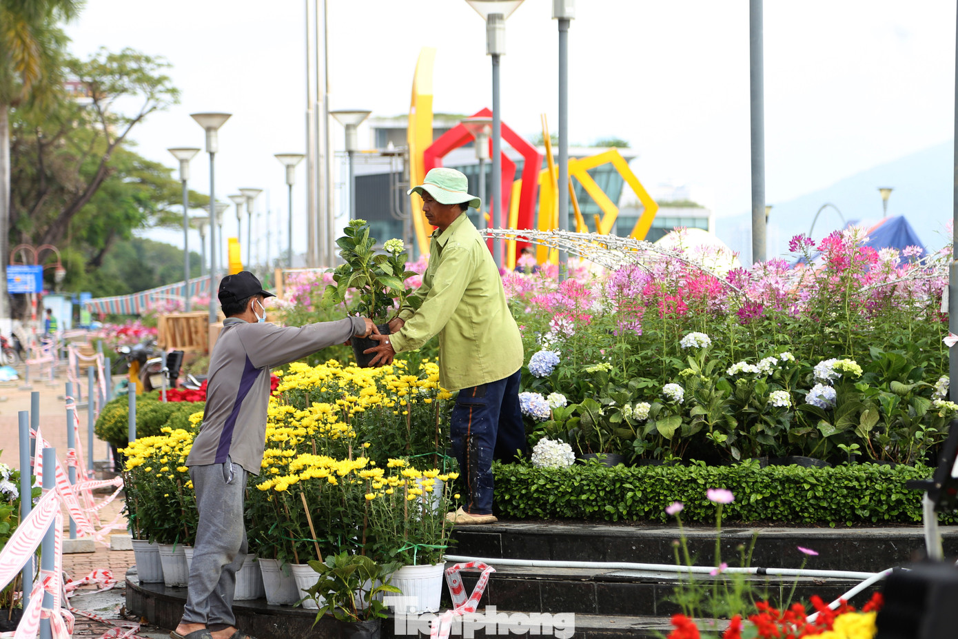 Dịp Tết Nguyên đán Giáp Thìn, UBND TP Đà Nẵng đầu tư gần 20 tỷ đồng trang trí hoa và điện chiếu sáng, trong đó có 15 vị trí trang trí hoa và 6 vị trí trang trí khác. Trong đó, nổi bật là cụm trang trí dọc sông Hàn, kéo dài từ đối diện Công viên APEC đến đối diện Trung tâm hành chính TP. Đà Nẵng.