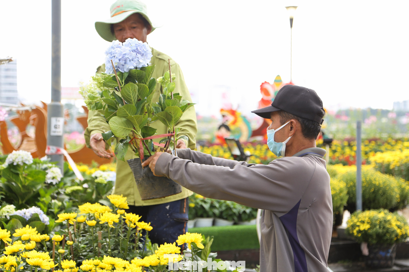 Dịp Tết Nguyên đán Giáp Thìn, UBND TP Đà Nẵng đầu tư gần 20 tỷ đồng trang trí hoa và điện chiếu sáng, trong đó có 15 vị trí trang trí hoa và 6 vị trí trang trí khác. Trong đó, nổi bật là cụm trang trí dọc sông Hàn, kéo dài từ đối diện Công viên APEC đến đối diện Trung tâm hành chính TP. Đà Nẵng.