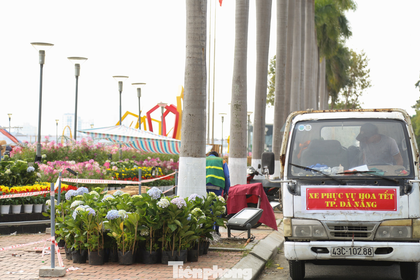 Những chiếc xe phục vụ hoa Tết bận rộn lui tới trên tuyến đường Bạch Đằng để vận chuyển trang thiết bị, các loại hoa Tết... cho các điểm thi công.