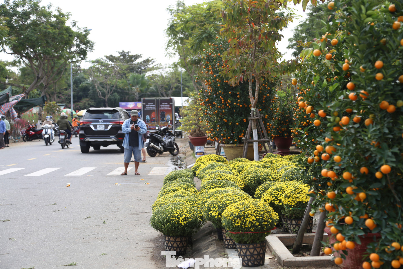 Bên cạnh đó, rất nhiều loại hoa cũng được bày bán ở chợ hoa, đa dạng nguồn cung cho người dân vào dịp Tết Nguyên đán Giáp Thìn như cúc mâm xôi, quất, thược dược, cẩm tú cầu, trạng nguyên, hướng dương, cúc đại đóa, cúc vạn thọ...