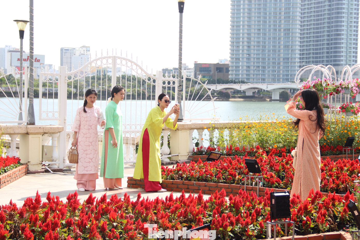 Điểm trang trí hoa xuân trên đường Bạch Đằng (đối diện Bảo tàng Đà Nẵng mới) cũng níu chân các "nàng thơ". Được trang trí từ dịp Tết Dương lịch, địa điểm này thu hút rất đông người dân và du khách tới check in bởi không khí Tết ngập tràn.