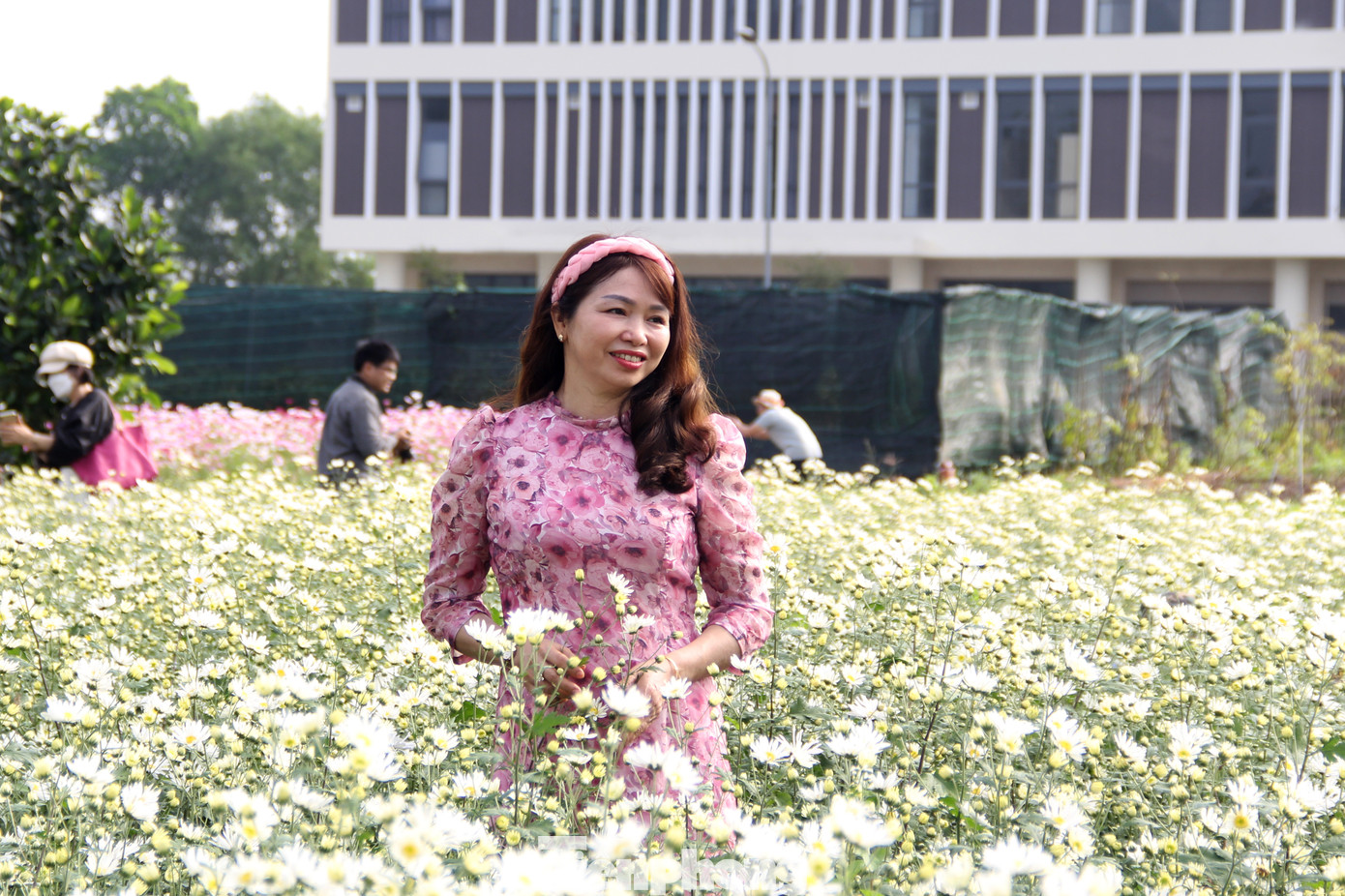 Được biết, vườn hoa sẽ mở cửa phục vụ người dân và du khách miễn phí, liên tục cho đến khi hoa tàn. Trung tâm cũng bố trí thêm 2 luống hoa để bán cho người dân có nhu cầu với giá 20.000 đồng/cây hoặc 50.000 đồng/chậu. Ảnh: Giang Thanh Được biết, vườn hoa sẽ mở cửa phục vụ người dân và du khách miễn phí, liên tục cho đến khi hoa tàn. Trung tâm cũng bố trí thêm 2 luống hoa để bán cho người dân có nhu cầu với giá 20.000 đồng/cây hoặc 50.000 đồng/chậu. Ảnh: Giang Thanh