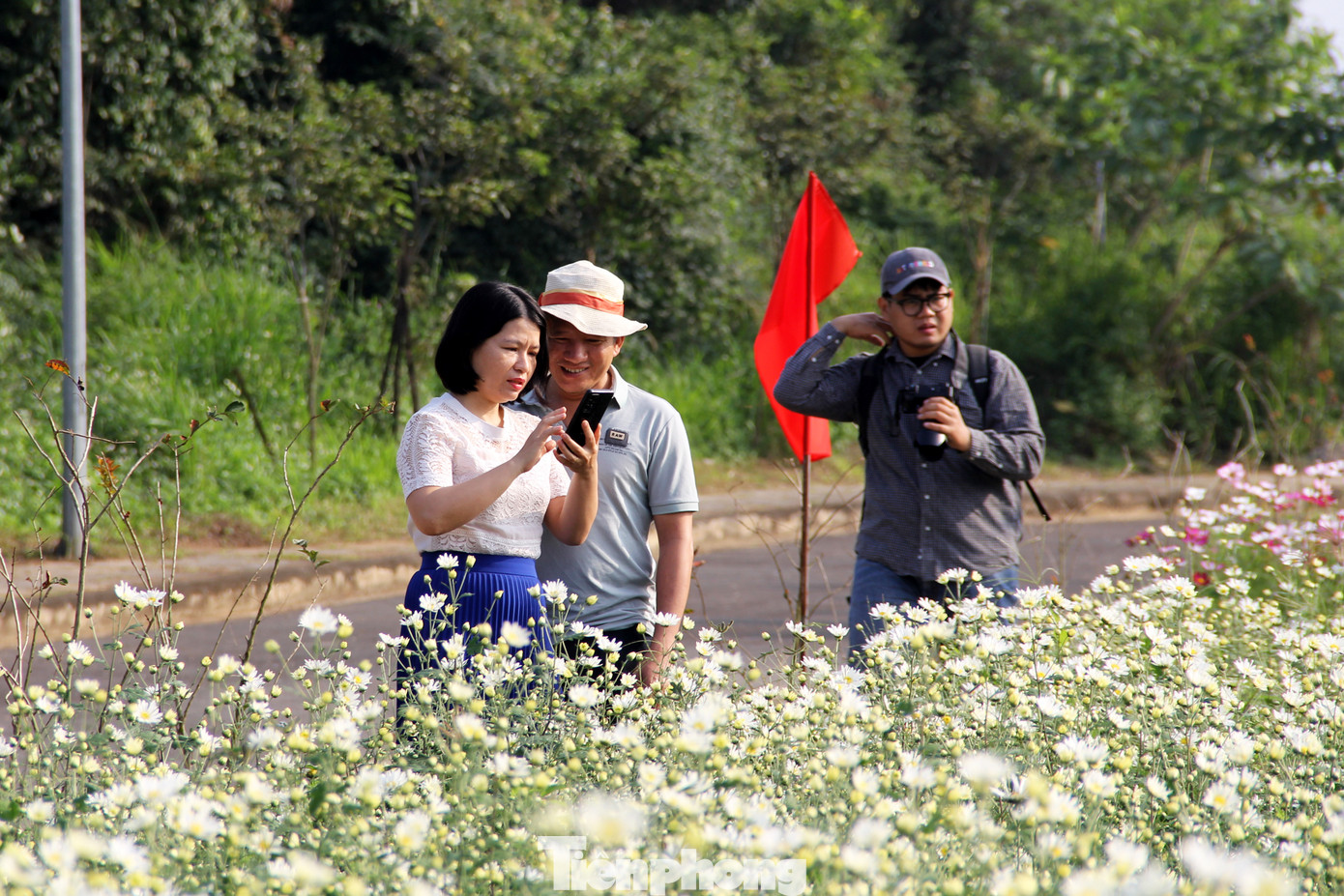 "Năm nay, cúc họa mi nở rộ, bông hoa bậm, to, đẹp hơn hẳn các năm trước. Trung tâm sẽ tiếp tục duy trì vườn cúc và mở cửa miễn phí phục vụ người dân, tạo điểm nhấn cho du lịch Đà Nẵng. Đồng thời, chúng tôi sẵn sàng hỗ trợ, chuyển giao công nghệ cho người dân để phát triển giống hoa này", TS Quyết nói. Ảnh: Giang Thanh "Năm nay, cúc họa mi nở rộ, bông hoa bậm, to, đẹp hơn hẳn các năm trước. Trung tâm sẽ tiếp tục duy trì vườn cúc và mở cửa miễn phí phục vụ người dân, tạo điểm nhấn cho du lịch Đà Nẵng. Đồng thời, chúng tôi sẵn sàng hỗ trợ, chuyển giao công nghệ cho người dân để phát triển giống hoa này", TS Quyết nói. Ảnh: Giang Thanh