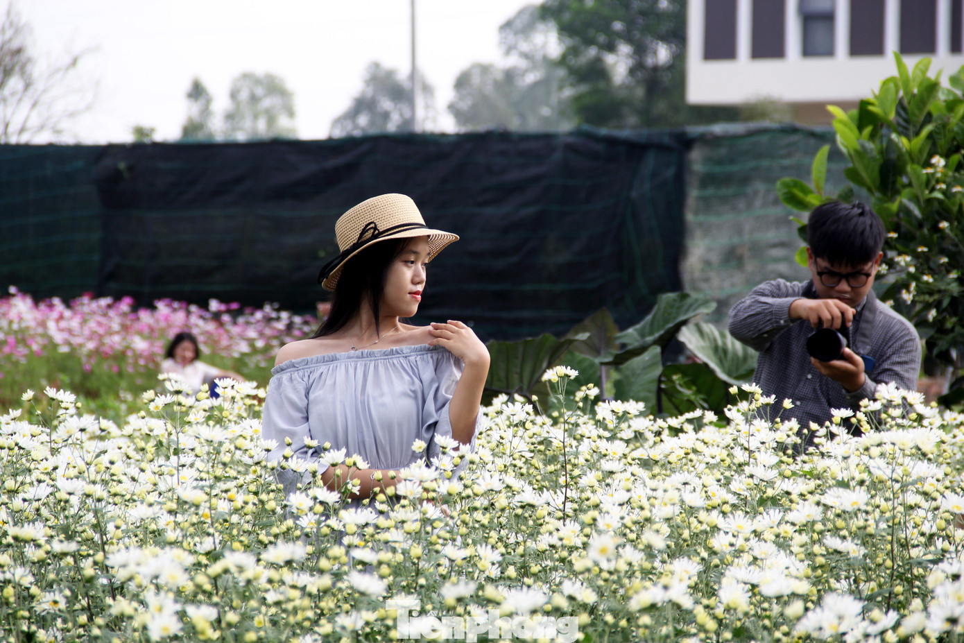 Cùng mẹ có mặt ở vườn cúc từ sáng sớm, Lê Bảo Ngọc (học sinh trường THCS&THPT Nguyễn Khuyến) tranh thủ tạo dáng lúc vườn cúc còn thưa người. "Biết thông tin qua facebook, mẹ liền hẹn em ghé vườn để chụp hình vào ngày cuối tuần. Đây là lần đầu tiên em được thấy vườn cúc họa mi trái mùa, hoa rất đẹp. Đây cũng là nét độc đáo riêng có của Đà Nẵng", Ngọc nói. Ảnh: Giang Thanh Cùng mẹ có mặt ở vườn cúc từ sáng sớm, Lê Bảo Ngọc (học sinh trường THCS&THPT Nguyễn Khuyến) tranh thủ tạo dáng lúc vườn cúc còn thưa người. "Biết thông tin qua facebook, mẹ liền hẹn em ghé vườn để chụp hình vào ngày cuối tuần. Đây là lần đầu tiên em được thấy vườn cúc họa mi trái mùa, hoa rất đẹp. Đây cũng là nét độc đáo riêng có của Đà Nẵng", Ngọc nói. Ảnh: Giang Thanh