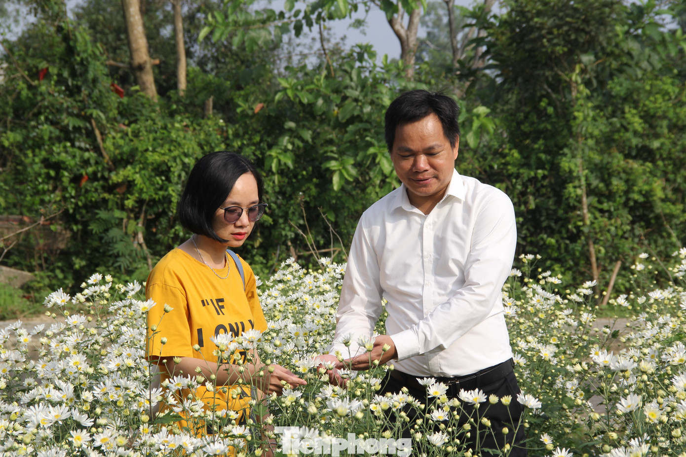 Theo TS Nguyễn Quyết, Trưởng phòng Công nghệ tế bào thực vật - Trung tâm CNSH TP Đà Nẵng (bìa trái), sau nhiều năm nghiên cứu và thuần giống, giờ đây, Trung tâm có thể khẳng định cúc họa mi có thể trồng ở vùng khí hậu nắng nóng như Đà Nẵng. Theo TS Nguyễn Quyết, Trưởng phòng Công nghệ tế bào thực vật - Trung tâm CNSH TP Đà Nẵng (bìa trái), sau nhiều năm nghiên cứu và thuần giống, giờ đây, Trung tâm có thể khẳng định cúc họa mi có thể trồng ở vùng khí hậu nắng nóng như Đà Nẵng.