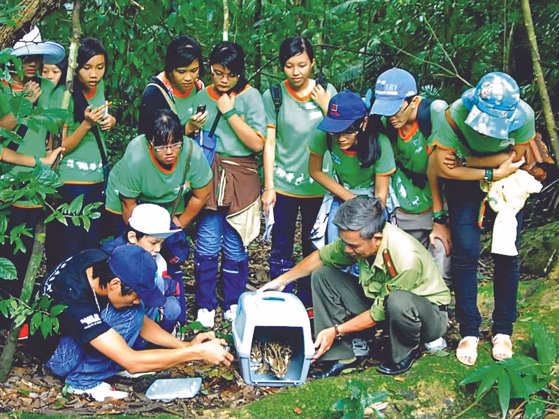 Các thành viên AWO cùng với kiểm lâm thả động vật hoang dã trở lại rừng