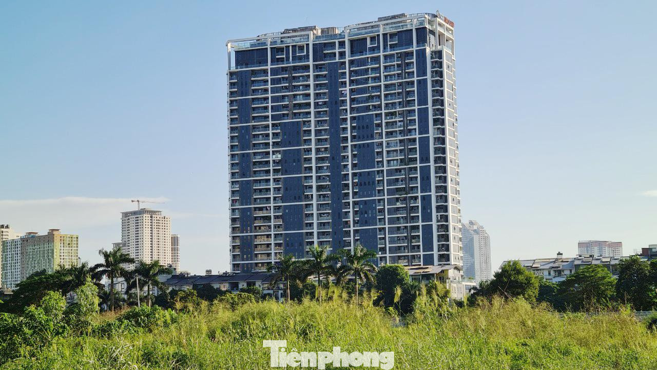 Cỏ dại mọc um tùm bên trong khu đất dự án Nhóm nhà ở Đông Nam đường Tố Hữu.