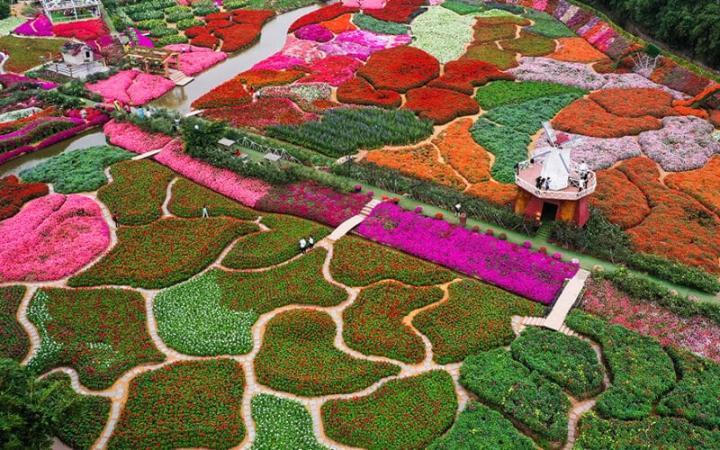 Thung lũng hoa Hồ Tây đang là địa điểm được nhiều bạn trẻ Hà thành “săn đón” - check in nhất là vào dịp cuối tuần Thung lũng hoa Hồ Tây đang là địa điểm được nhiều bạn trẻ Hà thành “săn đón” - check in nhất là vào dịp cuối tuần