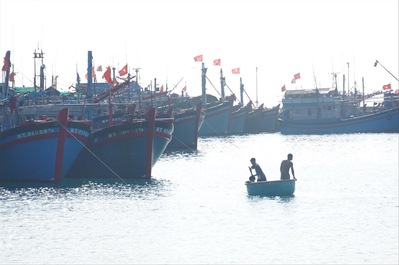 Cảnh tấp nập tại âu tàu Trường Sa. ảnh: Đức Anh