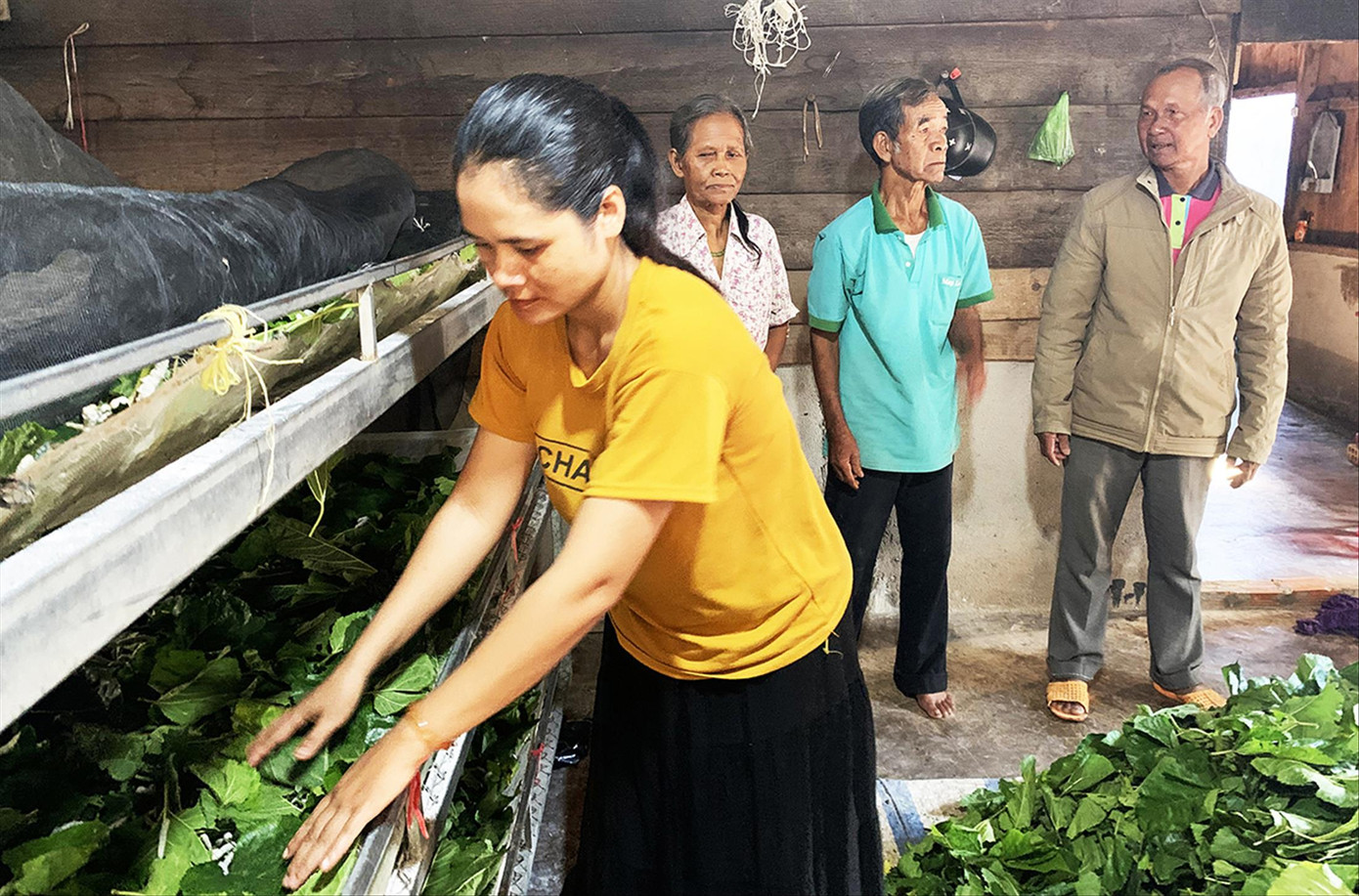 Già làng Ha Xuyên thăm hỏi, hướng dẫn dân làng làm kinh tế
