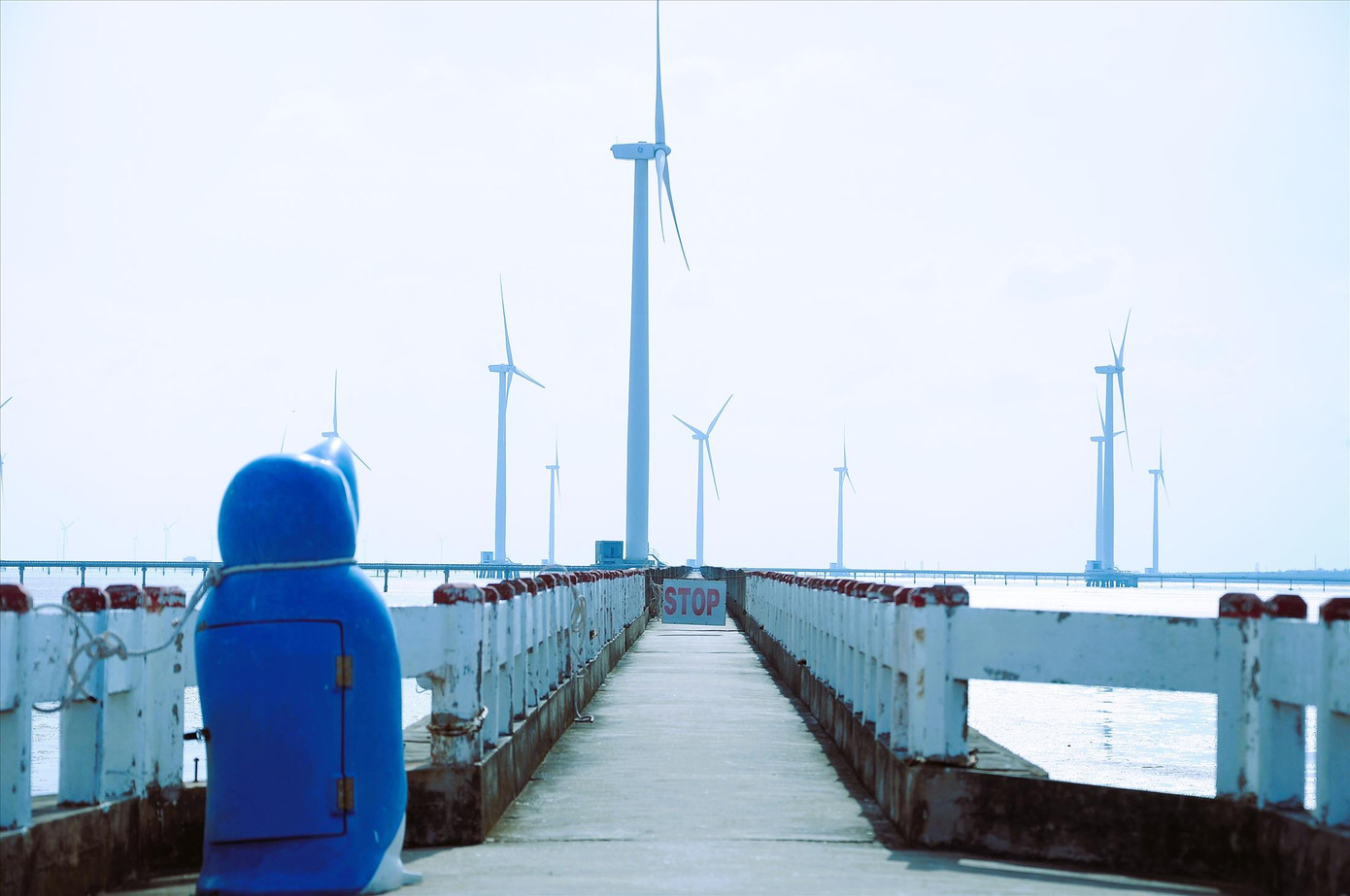 Các dự án điện gió đi vào vận hành sẽ đóng góp vào ngân sách hàng nghìn tỷ đồng mỗi năm cho nhiều địa phương. Ảnh: Cảnh Kỳ