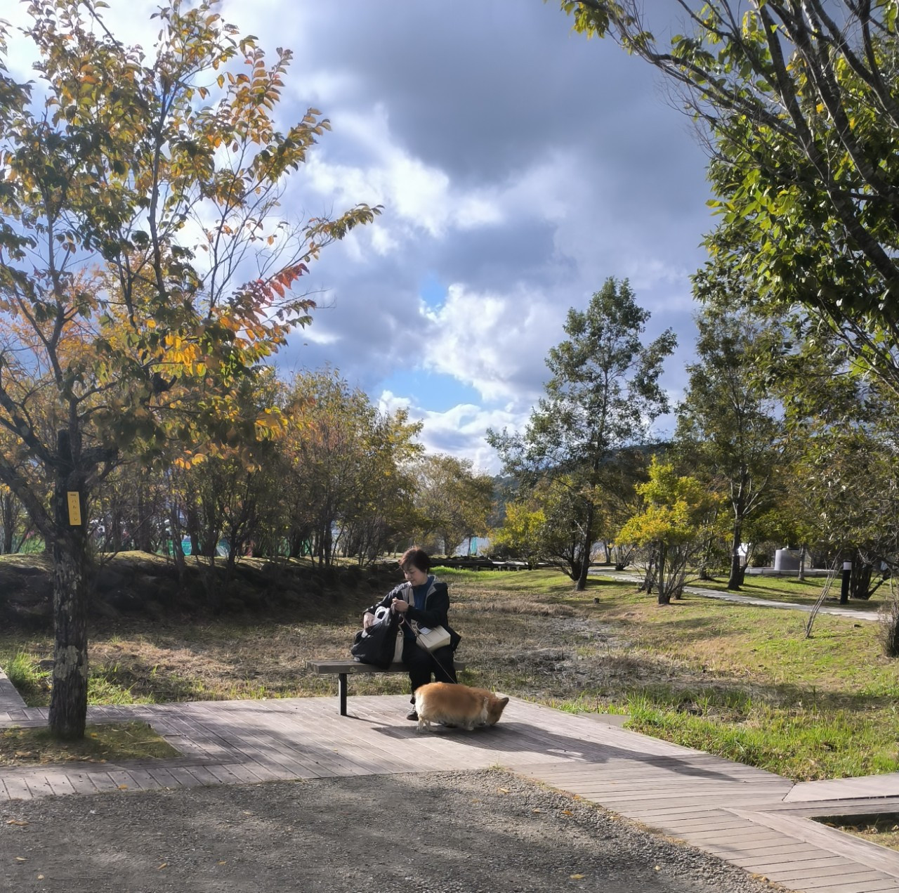 Một người cô đơn và một con chó trong công viên, hình ảnh thường thấy ở Nhật