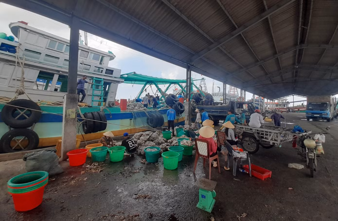 Cảng cá Trần Đề là một trong những cảng cá lớn nhất miền Tây Cảng cá Trần Đề là một trong những cảng cá lớn nhất miền Tây