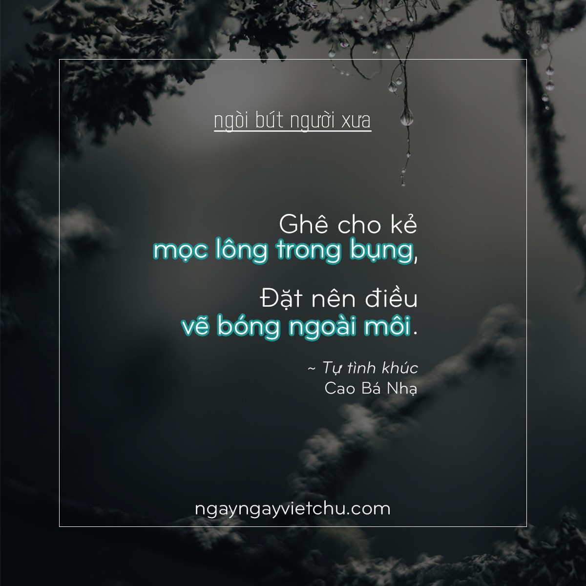 “Ngày ngày viết chữ” khiến hàng chục ngàn người phải bấm like vì những câu thơ cổ như thế này.