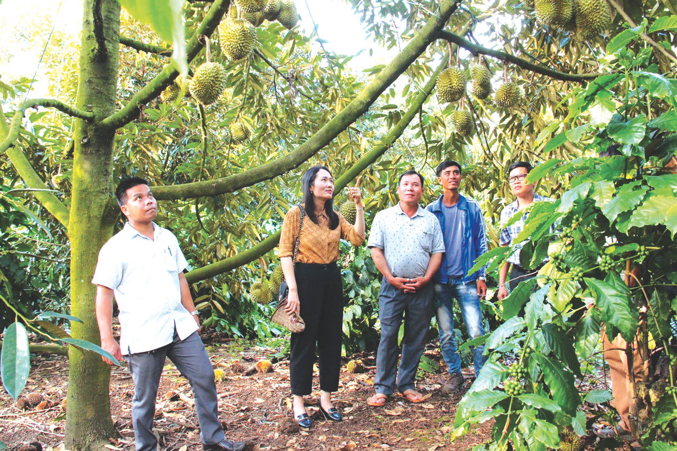 Chính quyền địa phương nhận được sự ủng hộ của người dân về phương án bồi thường, bàn giao mặt bằng