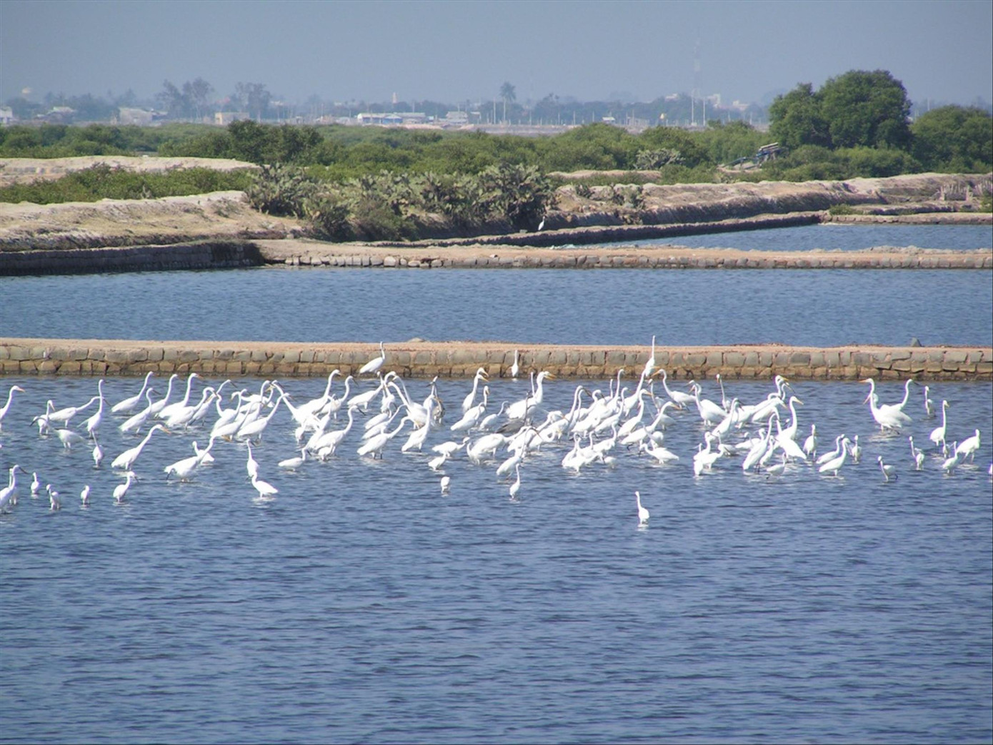 Một góc khác về phong cảnh của thiên nhiên tại VQG Núi Chúa