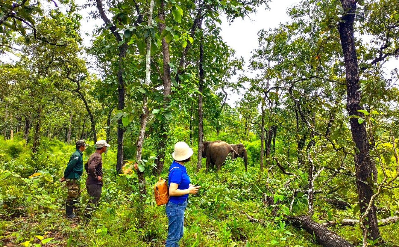 Du khách ngắm và tìm hiểu đời sống của voi tại Vườn Quốc gia Yok Đôn Du khách ngắm và tìm hiểu đời sống của voi tại Vườn Quốc gia Yok Đôn