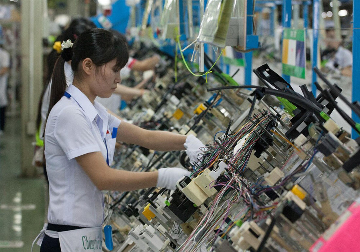 Sản xuất trong nhà máy Công ty TNHH Yazaki EDS Việt Nam. ảnh: H.C