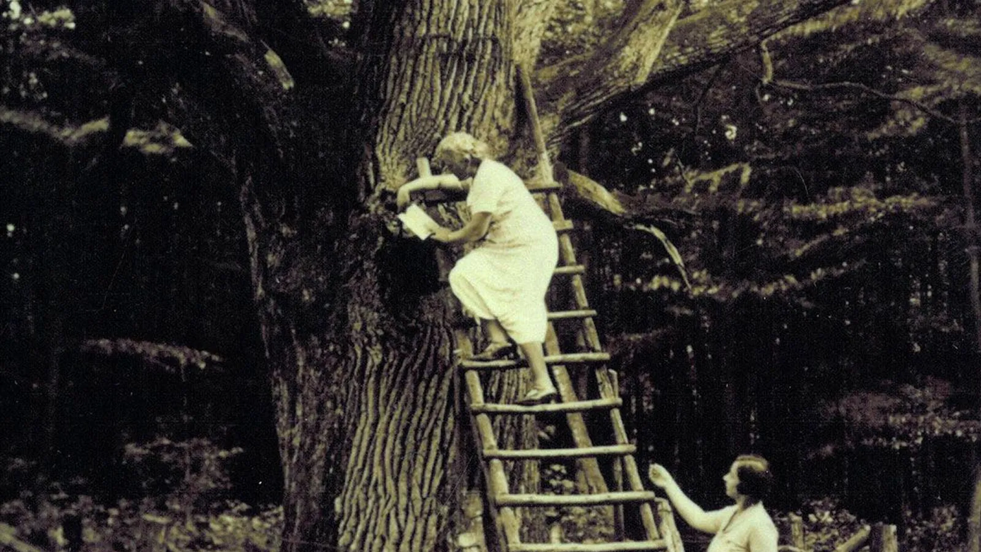 Một phụ nữ leo thang để đọc thư tình vào những năm 1930.