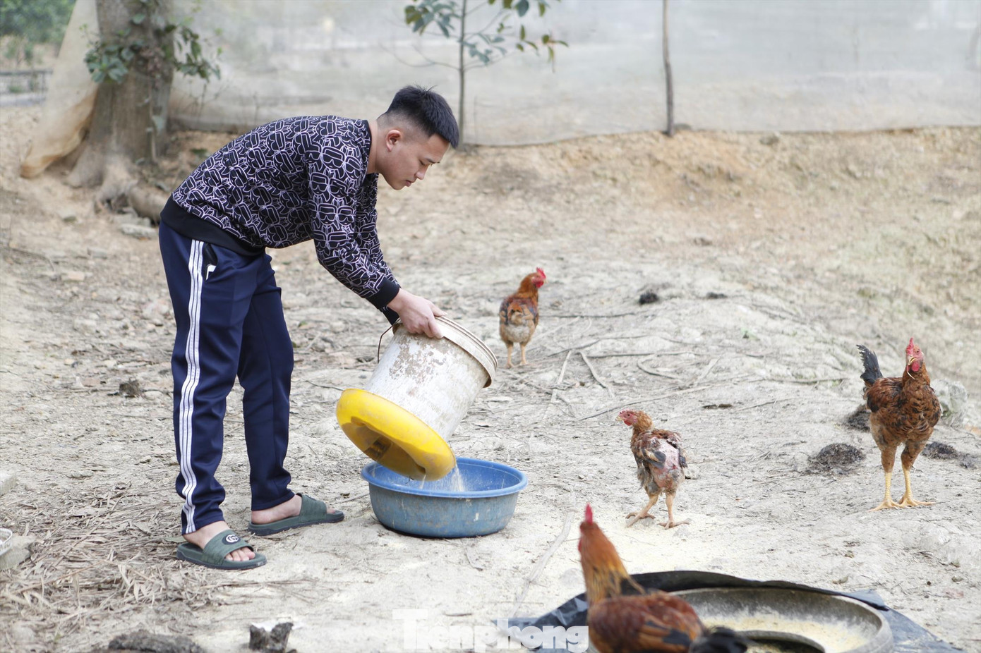 Anh Thân Thế Anh được tổ chức Đoàn, Hội LHTN tỉnh Bắc Giang hỗ trợ vay vốn với lãi suất ưu đãi để làm kinh tế trang trại.