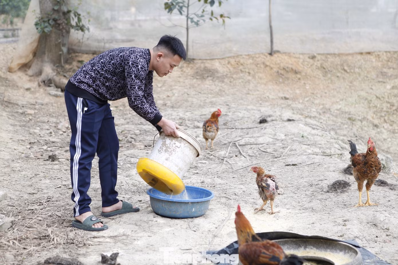 Anh Thân Thế Anh được tổ chức Đoàn, Hội LHTN tỉnh Bắc Giang hỗ trợ vay vốn với lãi suất ưu đãi để làm kinh tế trang trại. Anh Thân Thế Anh được tổ chức Đoàn, Hội LHTN tỉnh Bắc Giang hỗ trợ vay vốn với lãi suất ưu đãi để làm kinh tế trang trại.