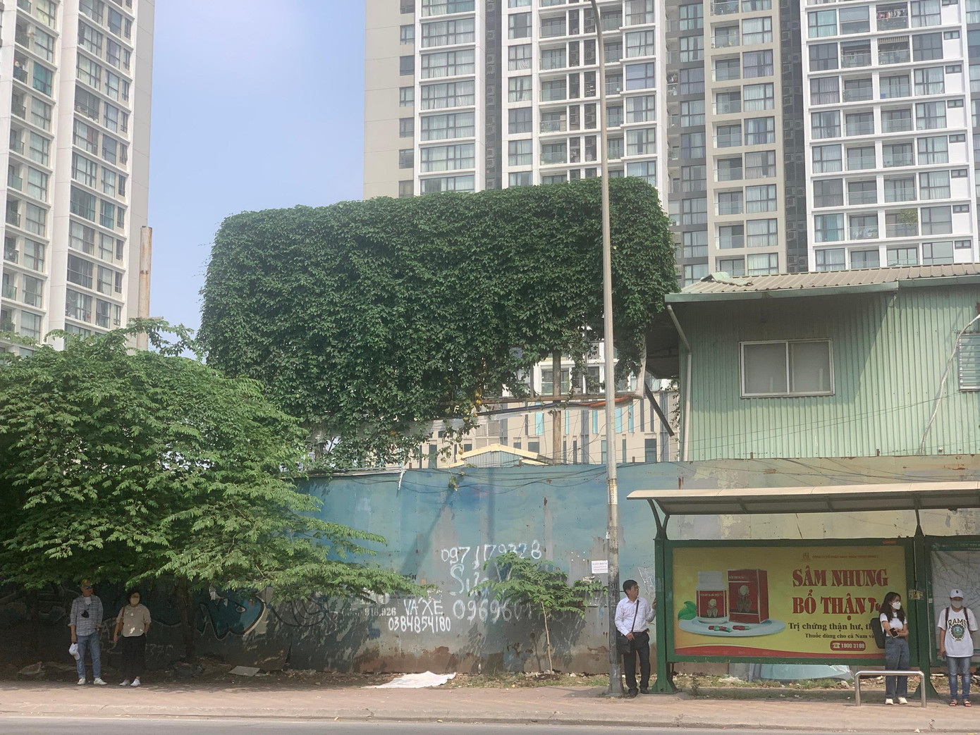 Tấm biển của dự án đã được tháo bỏ, cỏ dại phủ kín.