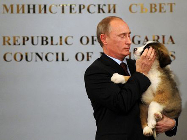 Ông Putin âu yếm một chó chó - món quà của người đồng cấp Bulgaria Boyko Borisov - sau cuộc họp báo chung của họ năm 2010