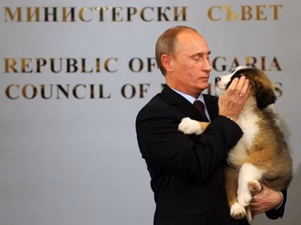 Ông Putin âu yếm một chó chó - món quà của người đồng cấp Bulgaria Boyko Borisov - sau cuộc họp báo chung của họ năm 2010