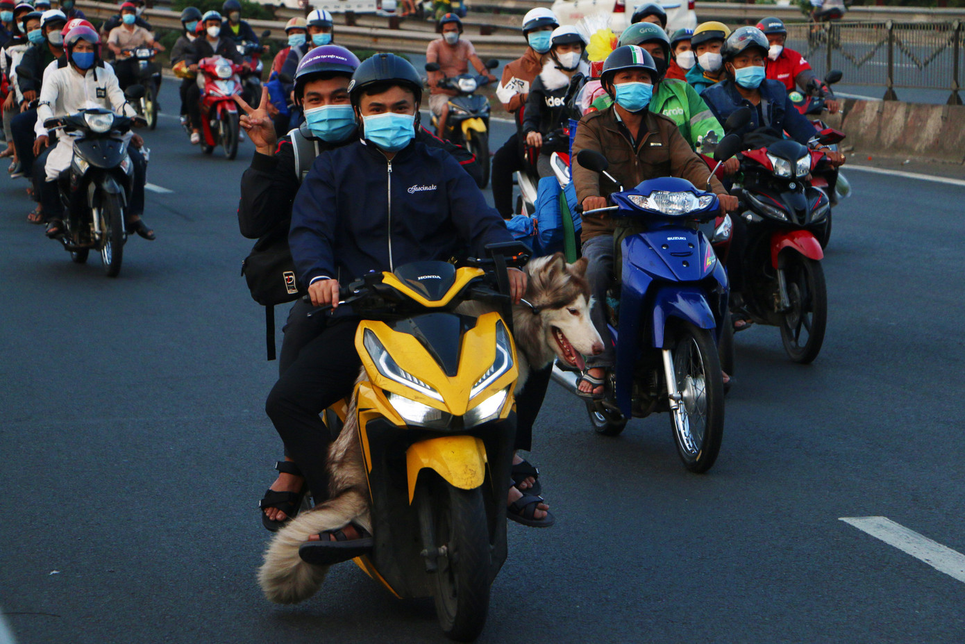 Trong khi đó, một số bạn trẻ còn mang theo thú cưng về cùng.