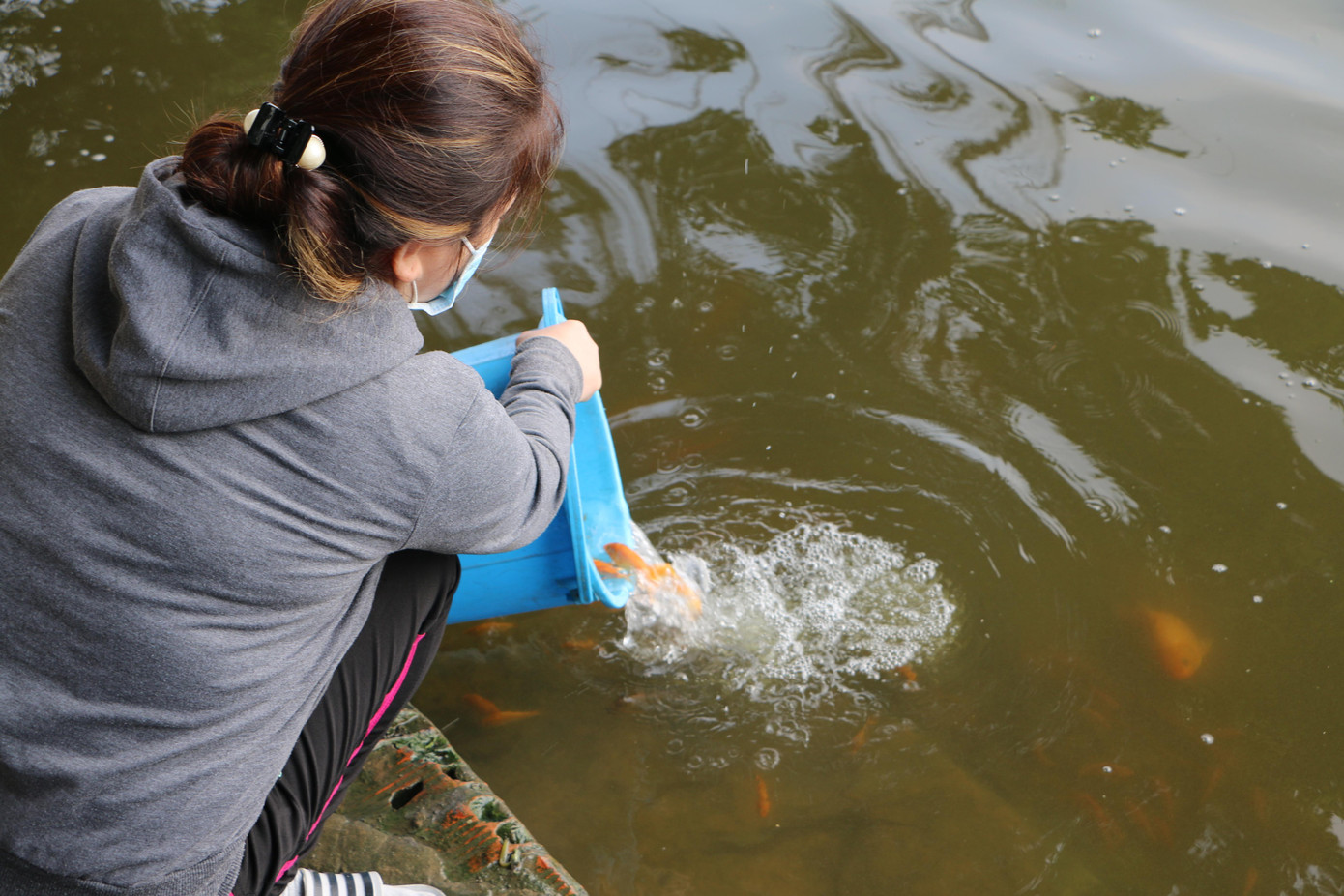 Theo ghi nhận trong buổi sáng 25/1, “đội quân chích cá” không hoạt động rầm rộ như năm trước, hoạt động thả cá được diễn ra thuận lợi.